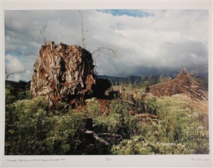 Image description is not available for 2025.243